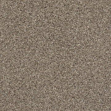 Carpet and Carpet Tile