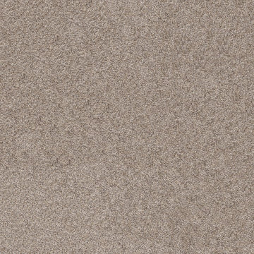 *Closeout Carpet* Shaw Commanding Tweed - Weathered - $1.05 per SF ($9.45 SY)