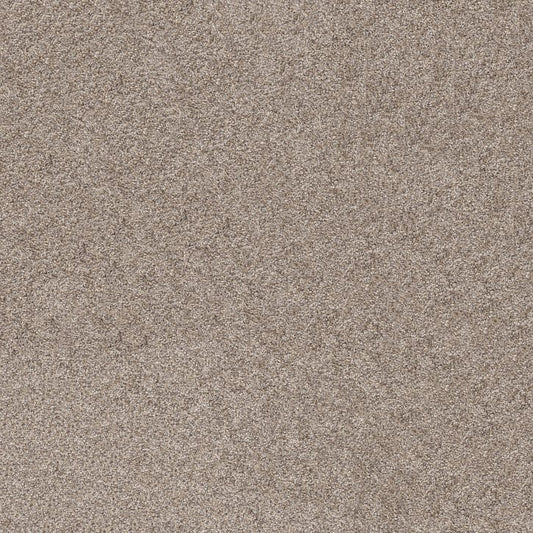 *Closeout Carpet* Shaw Commanding Tweed - Weathered - $1.05 per SF ($9.45 SY)