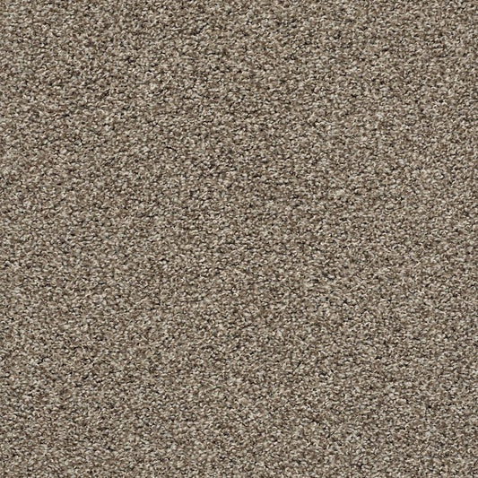 *Closeout Carpet* Shaw- Spellbound - Chic Taupe - $1.15 per SF ($10.35 SY)